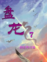 盘龙.7