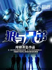 狼与兄弟小说免费阅读