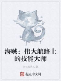 海贼：伟大航路上的技能大师